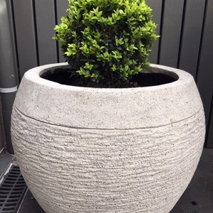 Gentong Pot Natural 